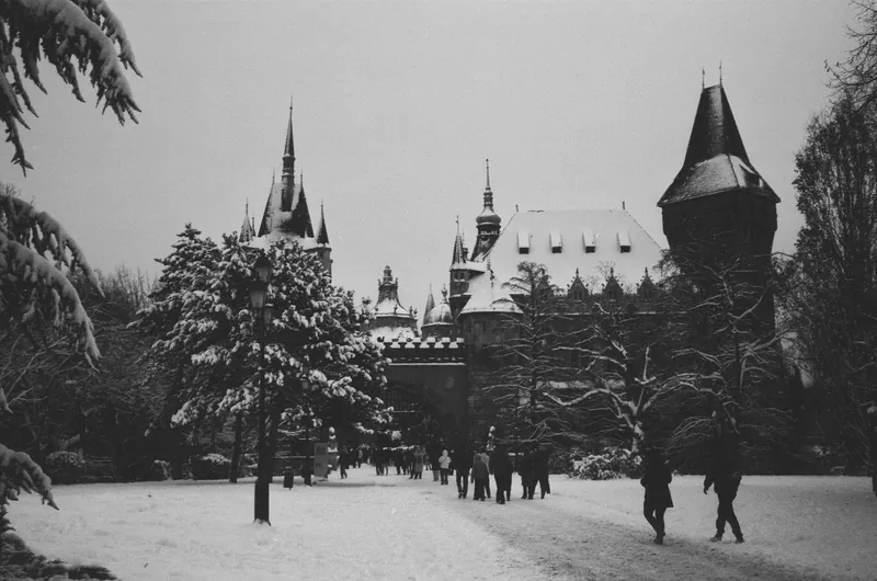 Snöiga träd och Vajdahunyadslottets torn