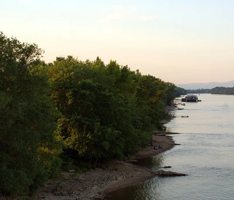 Trädkantad strand vid Donau på Római-part